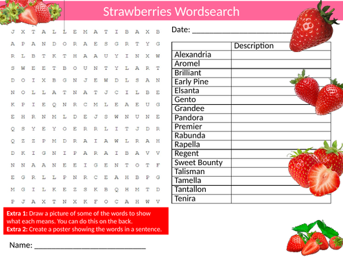 Strawberries Wordsearch Sheet Food Technology Starter Activity Keywords Cover