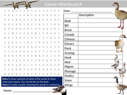 Geese #2 Wordsearch Animals Nature Literacy Starter Activity Homework Cover Lesson Plenary
