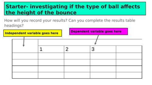 year 7 investigation