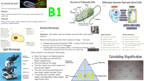 OCR Gateway A Biology B1 Knowledge Organiser