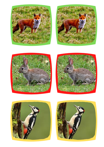 Forest Animal Matching Cards