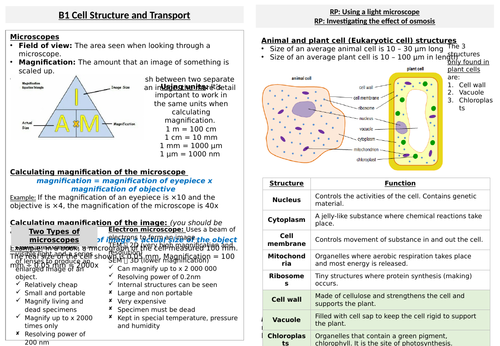 B1 Cell structure and transport