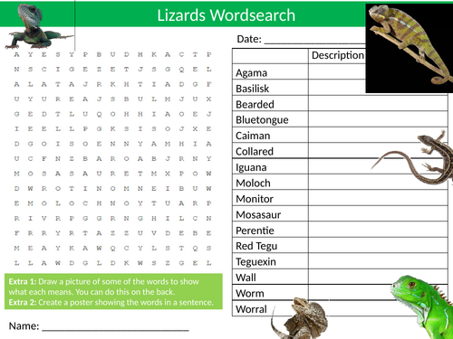 Lizards Wordsearch Sheet Starter Activity Keywords Cover Animals Pets Nature