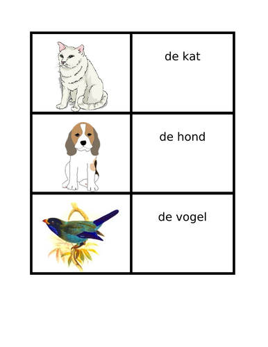 Dieren (Animals in Dutch) Card Games
