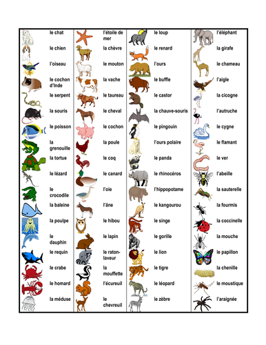 Animaux (Animals in French) Desk Mat