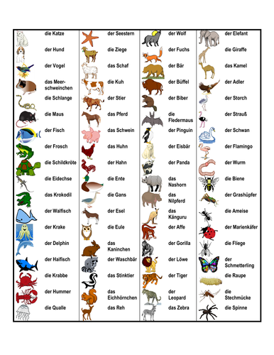 Secondary German resources: animals and pets