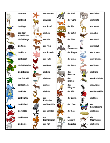 Tiere (Animals in German) Desk Mat | Teaching Resources