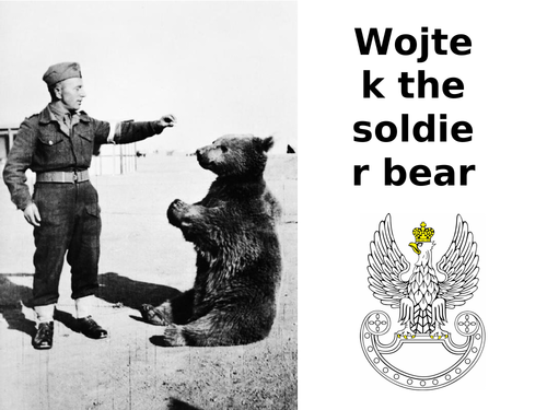 Wojtek the World War Two Soldier Bear