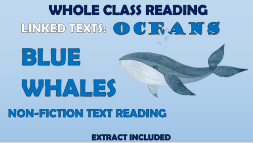 Blue Whales Non-Fiction Text - Whole Class Guided Reading!