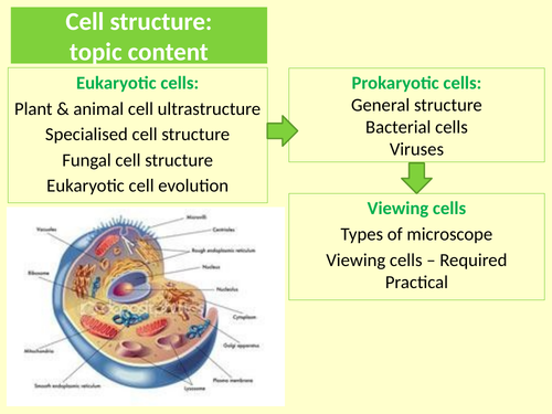 AQA. GCE. Biology. Cells. Eukaryotic cell evolution