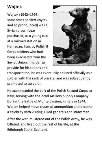 Wojtek the Soldier Bear Handout