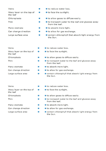 Plant Tissues and Organs
