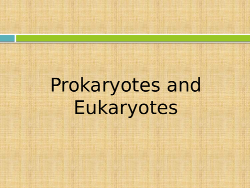 Prokaryotes and Eukaryotes