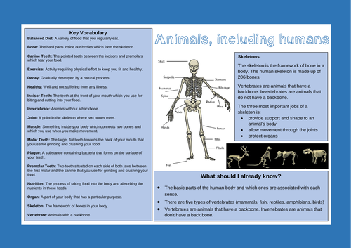 Science Animals (inc. humans) Knowledge Organiser
