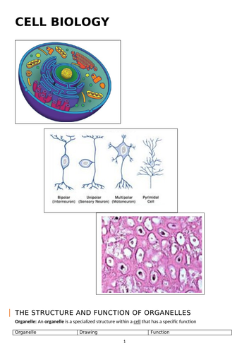 Cell organelles, the plasma membrane and microscopy