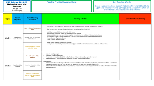 KS3 Skeletal & Muscular Systems Scheme of Work (Lower Ability/SEN)