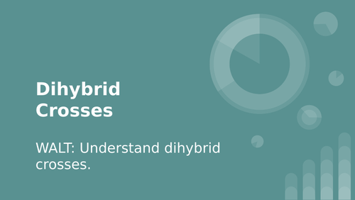 Quick Introduction to Dihybrid Crosses and Quiz