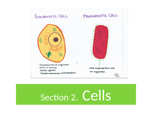 GCE. AQA. Biology. Prokaryotic cell structure | Teaching Resources