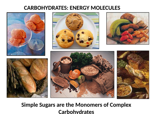 Carbohydrates for IB and A Level - Presentation