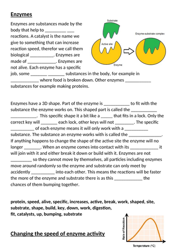 Enzymes introduction