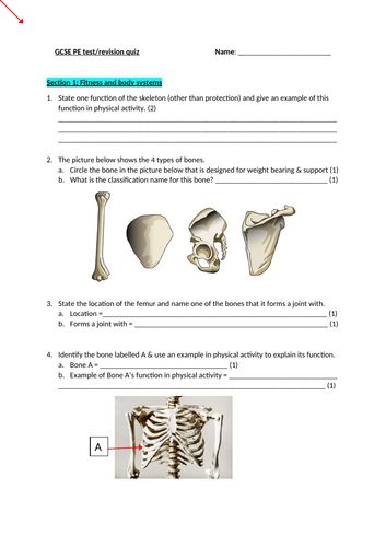 GCSE PE test/revision resource