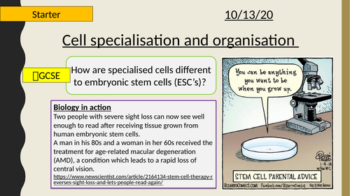 AQA A-Level New specification-Cell Specialisation and organisation-Section 2-Cells 3.5 (3.2.1.1)