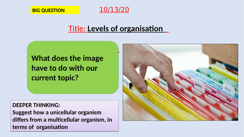Levels of organisation-KS3-Suitable for activate SOW