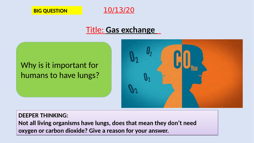 Gas exchange-KS3-Suitable for activate SOW