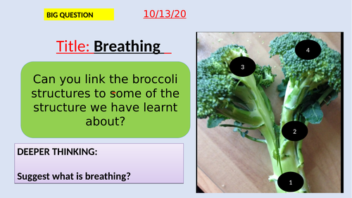 Breathing-KS3-Suitable for activate SOW