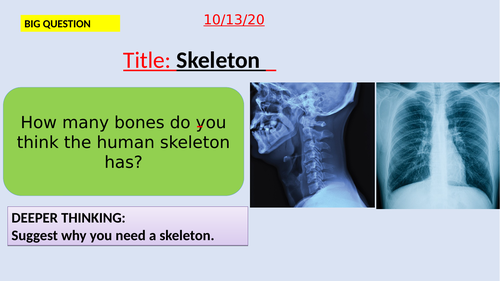 Skeleton-KS3-Suitable for activate SOW