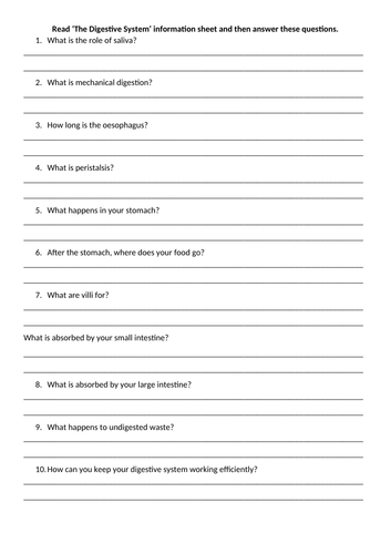 The Digestive System