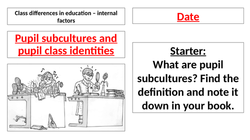 AQA A Level - Sociology - Pupil Subcultures