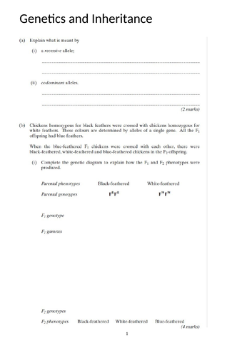 Genetics and Inheritance Questions for A Level and IB - 23 pages