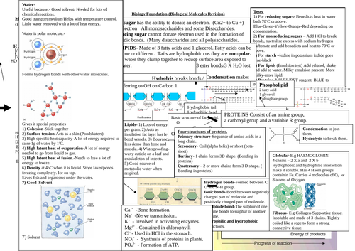 Biological Molecules Revision Sheet | Teaching Resources