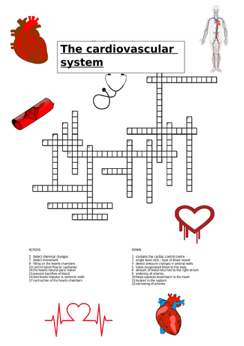 Cardiovascular system crossword - A Level PE
