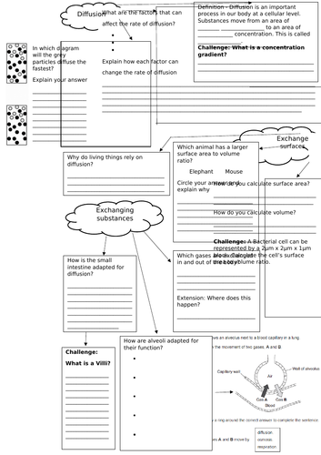 Cell Transport Revision sheet