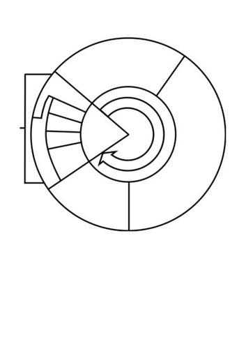 The Cell Cycle