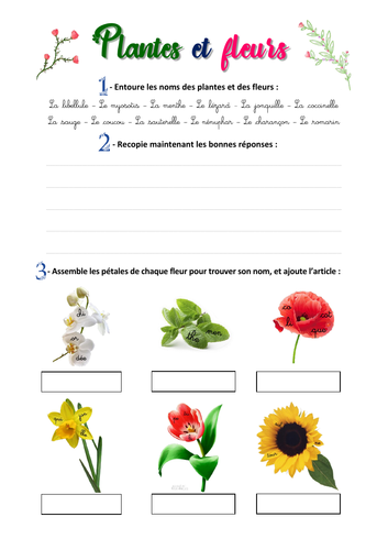 (French) "Plantes et fleurs" - Write and identify plants + flowers