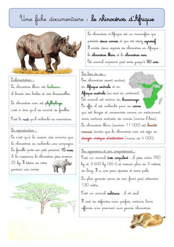 (French) Fiche documentaire - Le rhinocéros d'Afrique (animal info about the rhino)