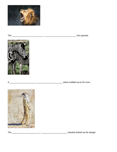 African animals expanded noun phrases