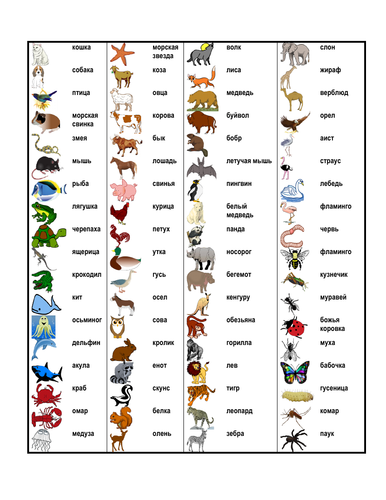 животные (Animals in Russian) Desk Mat