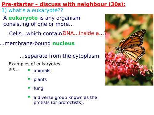 OCR A-Level Biology (H420): Chapter 2 - Basic Components of Living Systems - L6