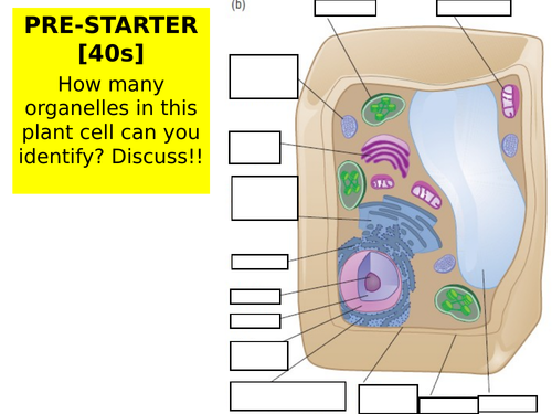 OCR A-Level Biology (H420): Chapter 2 - Basic Components of Living Systems - L8