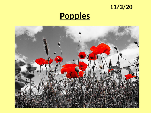 Poppies Grade 9 annotations