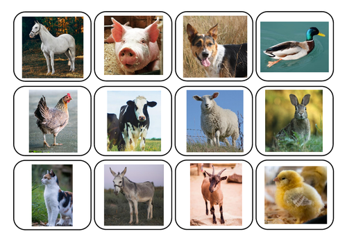 Farm animals photos and words matching - Autism/ASC/SEN/English
