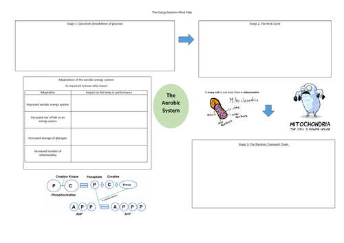 BTEC Lv 3 Unit 1 Mind Map Aerobic System