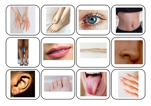 Body parts photos and words matching - Autism/ASC/SEN/English