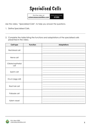 Specialised Cells [Virtual/Blended]