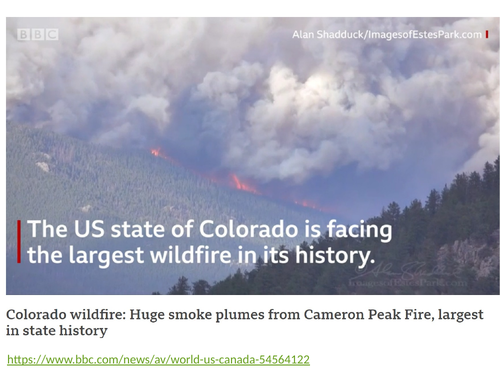 Carbon and Water Cycle - Feedback Loops