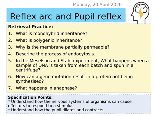 Topic 8 - Lesson 2 Reflex arc
